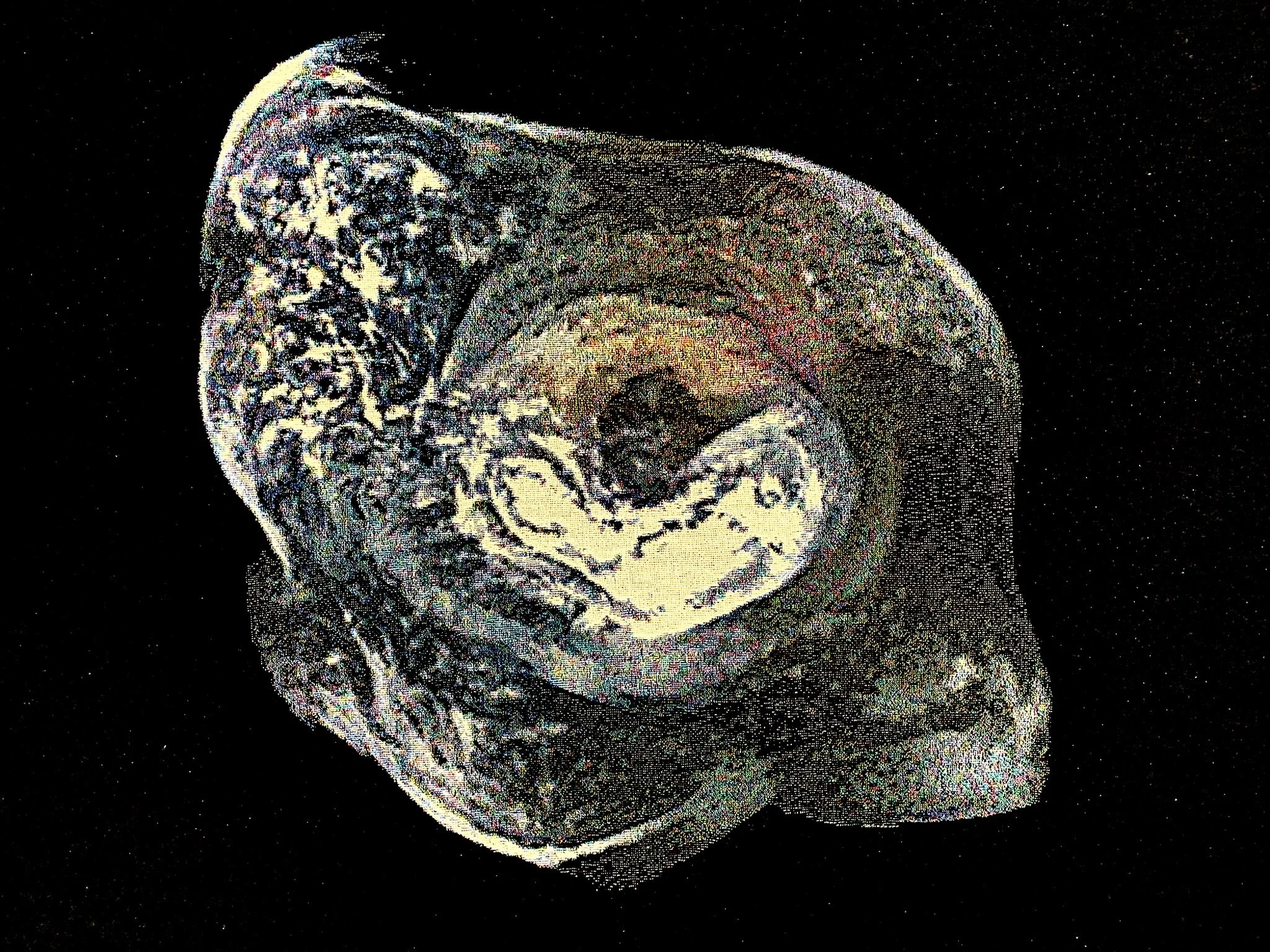  ‘Exit Point,’ a textile reproducing pixel images of the Blue Marble and the Black Hole, by UCSB interdisciplinary art professor Sarah Rosalena Brady. 