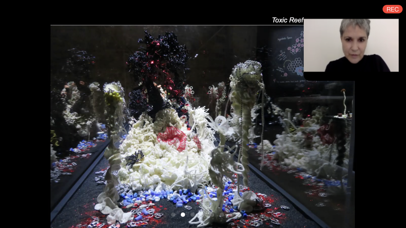  Margaret Wertheim’s  Crochet Coral Reef  project creates white reefs to showcase the devastation of coral bleaching. 