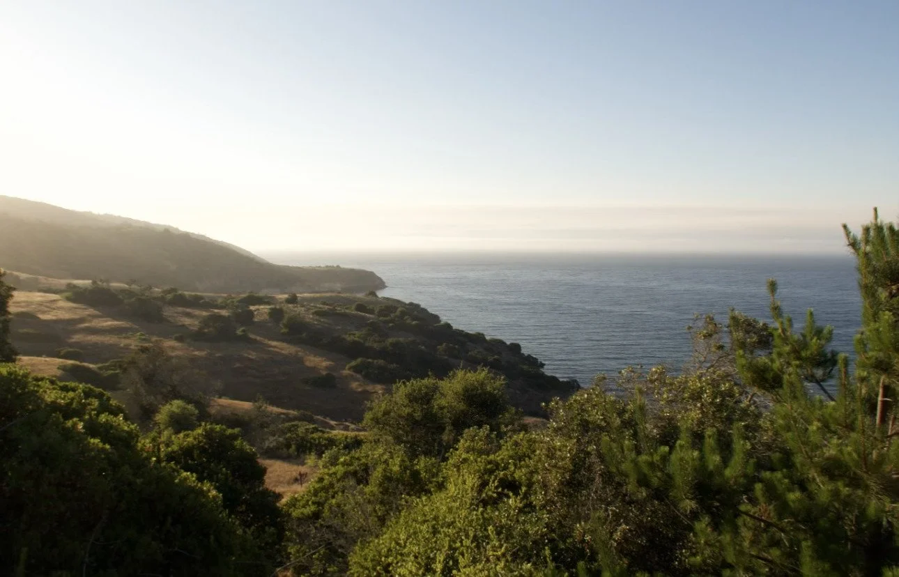  A glimpse of the Santa Cruz Island Reserve coast, showcasing the natural landscapes that inspire conservation efforts.                                                                                                                                                                  Photo by Taylor Ortiz  