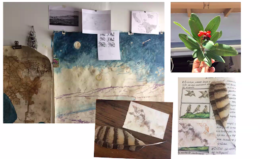  Sandy Rodriguez is a Los Angeles-based painter who uses materials from nature to create maps and paintings of the American Southwest that shine a light on the connection between Latin American history and present-day struggles. 