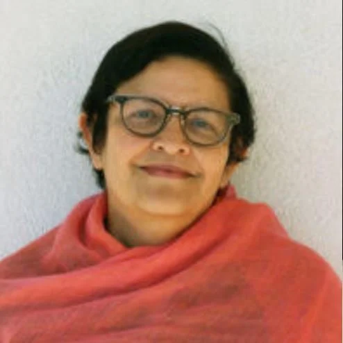  UCSB English and Global Studies professor Bishnupriya Ghosh said that understanding the ways health experts portray epidemics through photos, data graphs, artwork, and animations is critical to combatting future diseases.  