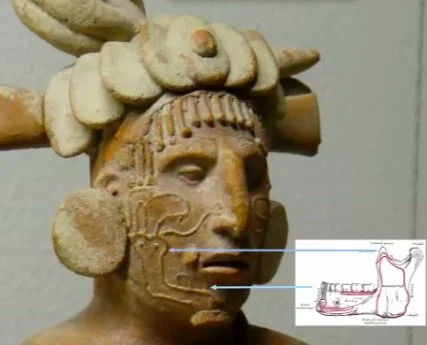  A man with a human jawbone carved into his face. Getty  Research Institute director Mary Miller believes this is another sign of human trafficking centuries ago.  