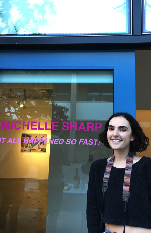  “It All Happened So Fast!” is one of the multiple Glass Box Gallery exhibits Michelle Sharp has premiered. This one in particular was featured in late February, 2018.  